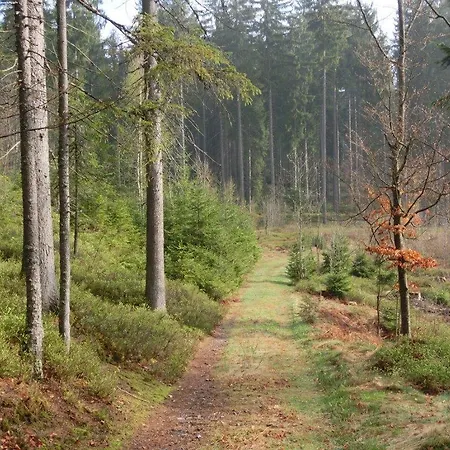 Fohlenhof 3* Frauenau