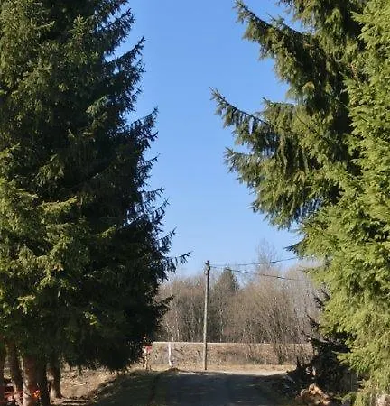 Fohlenhof Guest house Frauenau