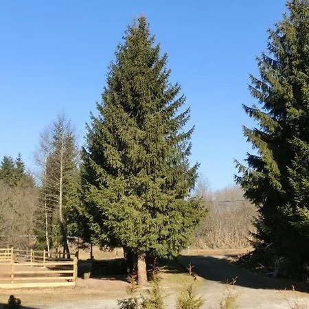 Fohlenhof 3* Frauenau
