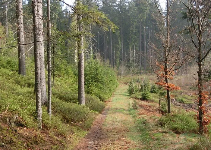 Fohlenhof 3* Frauenau