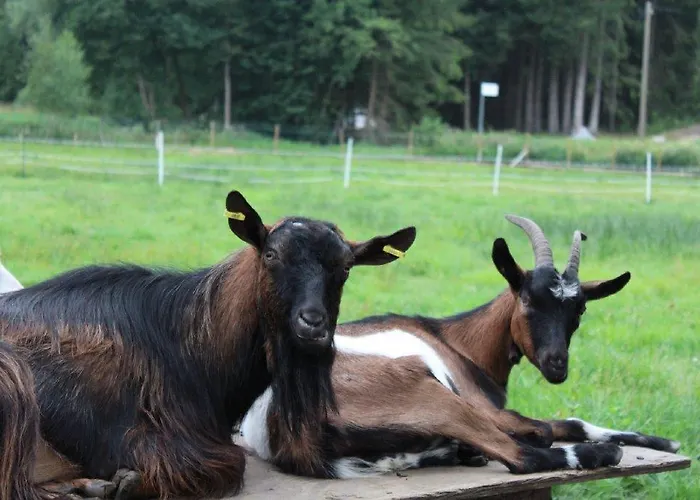 Pensjonat Fohlenhof