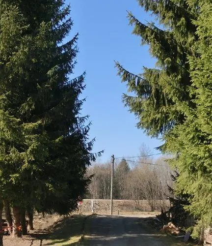 Fohlenhof Pensjonat Frauenau
