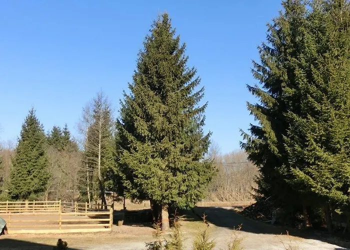 Fohlenhof 3* Frauenau