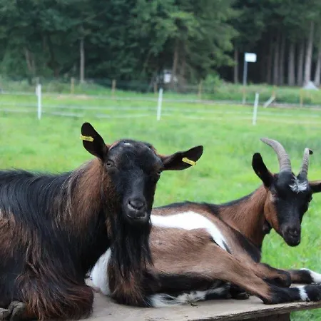 Pensión Fohlenhof