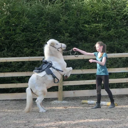 Fohlenhof Pensión 3*